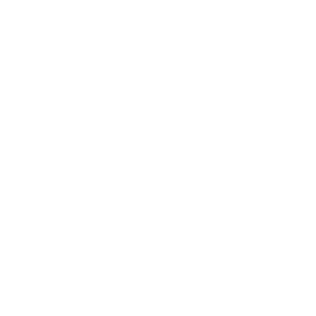 Data Access Layer (DAL)