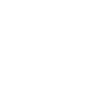 Data Access Layer (DAL)